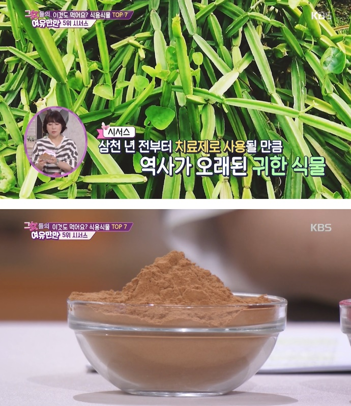 시서스 가루, 비만 원인인 호르몬 불균형 잡는다? 실험 결과보니 효능 놀라워, 먹는 법 VS 부작용은?