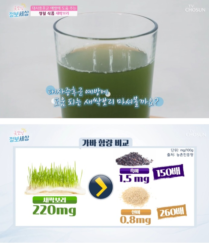 새싹보리, 체중 경감은 물론 '스트레스 완화'까지? 고소하고 부드러운 맛 효능·부작용 및 먹는 법은?