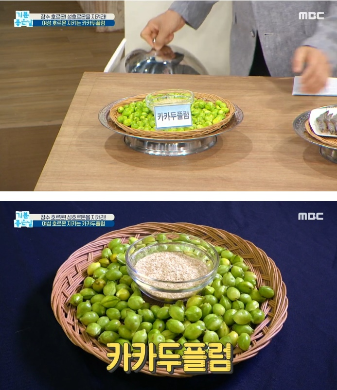 카카두플럼, '여성 호르몬' 지키는데 탁월해? 갱년기에 좋은 음식 효능 및 부작용 뭐길래?