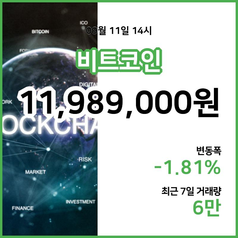 [11일 빗썸 비트코인시세]  14시 기준 현재 비트코인 1198만9000원,비트코인골드 1만3480원,  비트코인 캐시 36만600원