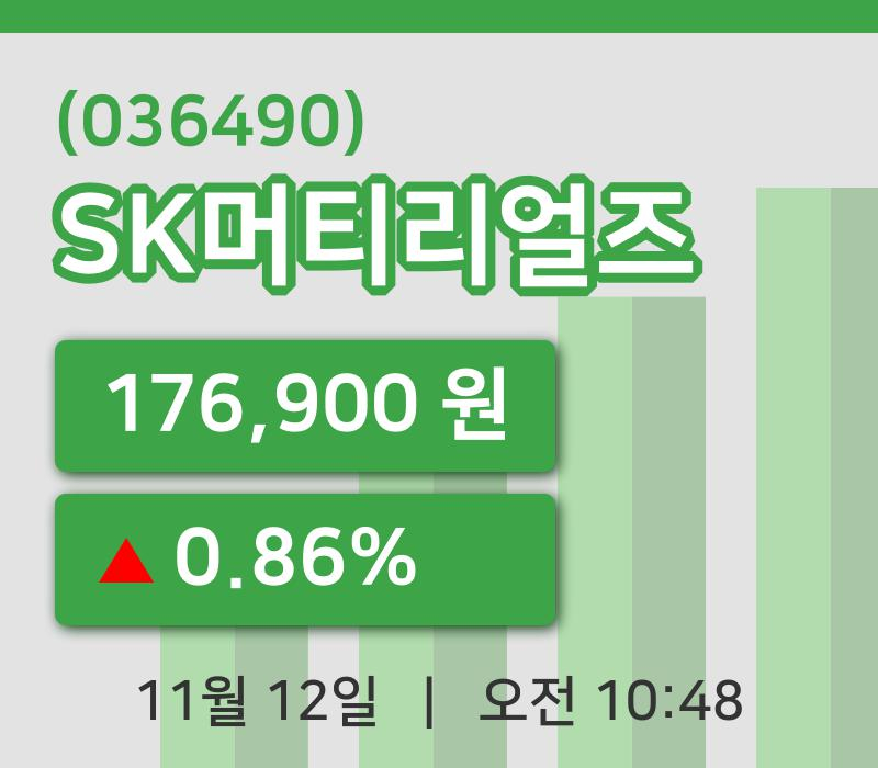 [SK머티리얼즈주가] 10시 48분 현재 176,900원