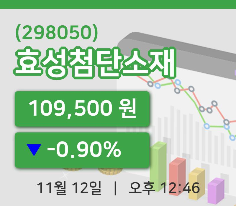 [효성첨단소재주가] 12일 12시 46분 현재 109,500원