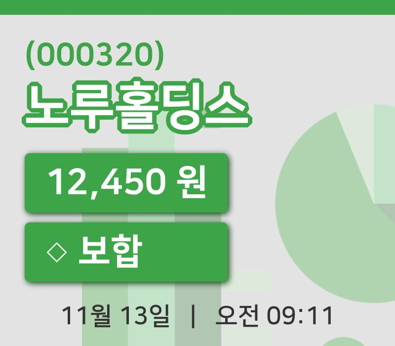 [노루홀딩스주가] 13일 이시각 현재  12,450원