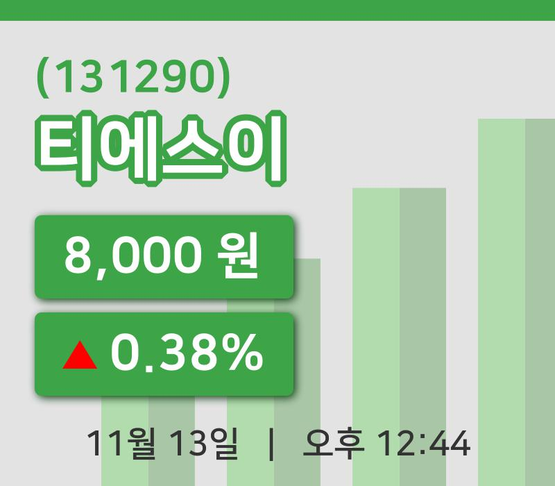 [티에스이주가] 13일 이시각 현재  8,000원