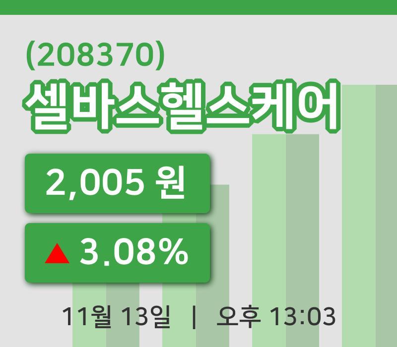 [셀바스헬스케어주가] 13일 이시각 현재  2,005원