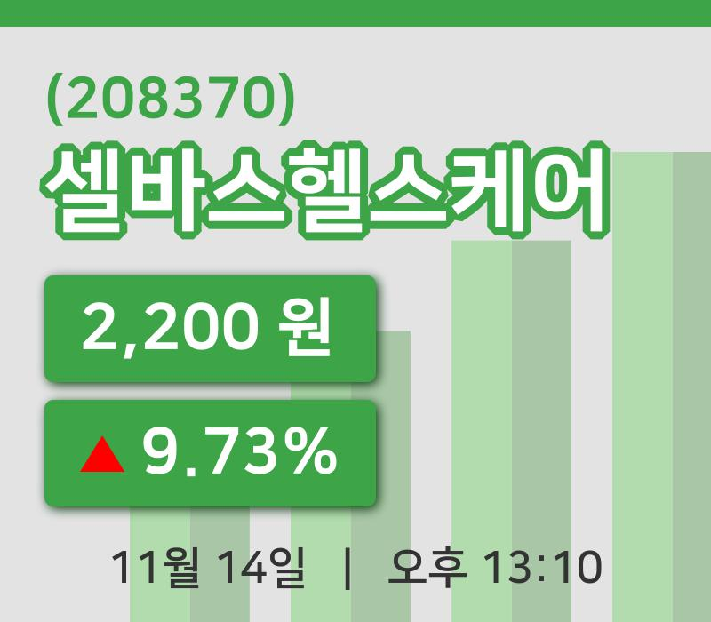 [셀바스헬스케어주가] 13시 10분 현재 2,200원