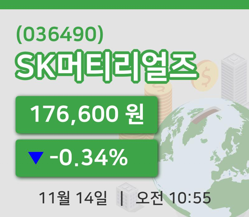 [SK머티리얼즈주가] 10시 55분 현재 176,600원