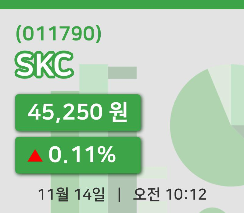 [SKC주가] 14일 이시각 현재  45,250원
