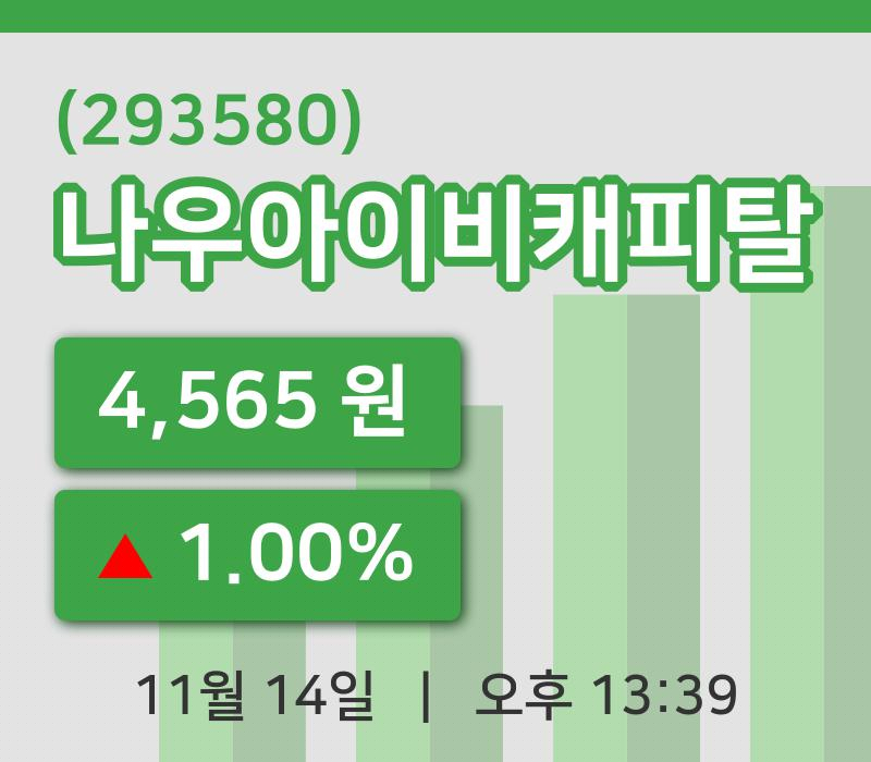 [나우아이비캐피탈주가] 14일 13시 39분 현재 4,565원