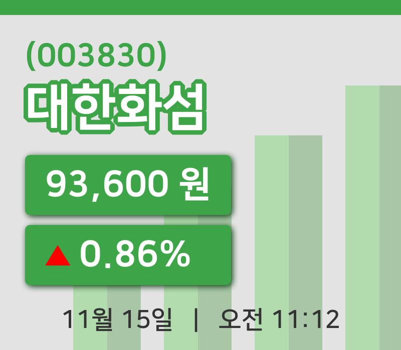[대한화섬주가] 11시 12분 현재 93,600원