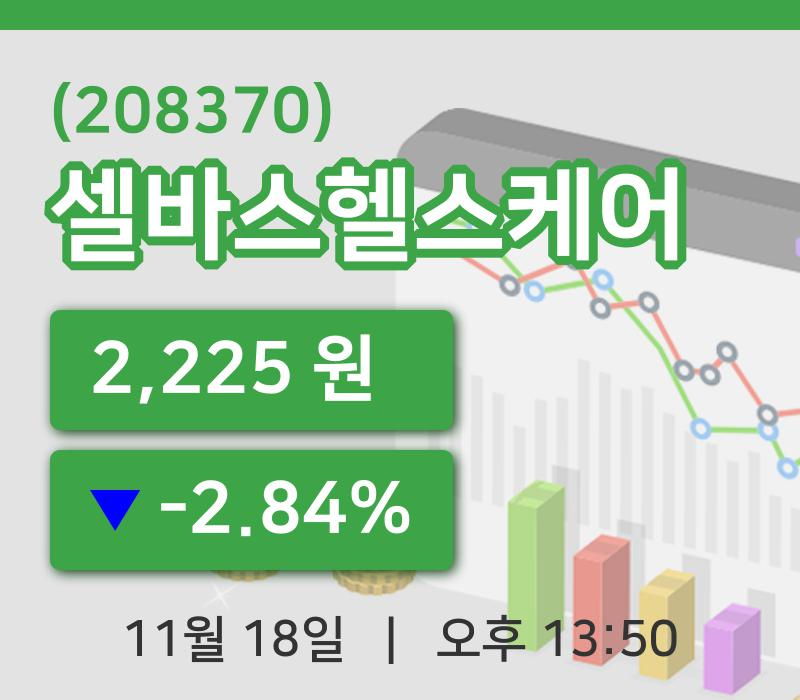 [셀바스헬스케어주가] 18일 13시 50분 현재 2,225원