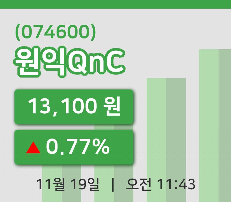 [원익QnC주가] 19일 11시 43분 현재 13,100원