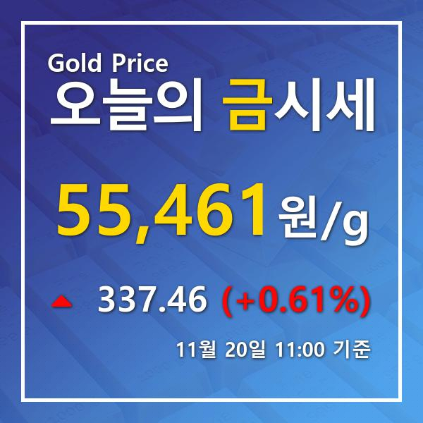 [오늘 금시세] 11월 20일 금값 시세, 소폭 상승 KITCO금시세 백금시세는?