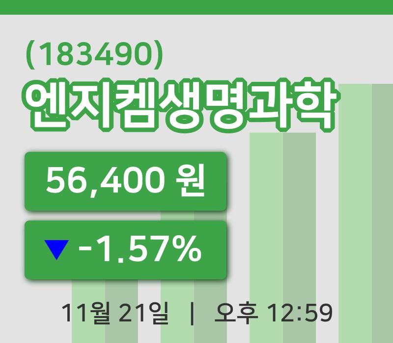 [엔지켐생명과학주가] 21일 이시각 현재  56,400원