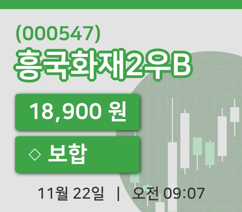 [흥국화재2우B주가] 22일 이시각 현재  18,900원