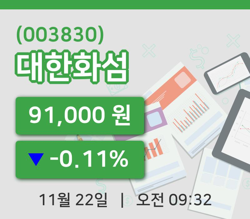 [대한화섬주가] 22일 이시각 현재  91,000원