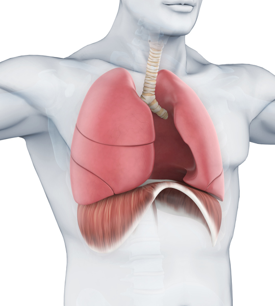 결핵 사망률은? 2주이상 기침, 독감·감기 초기증상 아닌 결핵의심해봐야 잠복결핵 검사방법은?