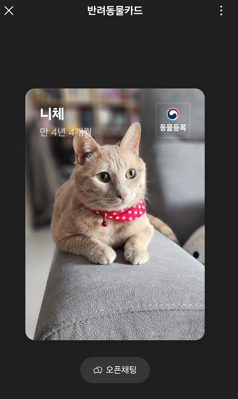 “반려동물도 가족입니다”…카카오, 디지털카드에 반려동물 기능 추가